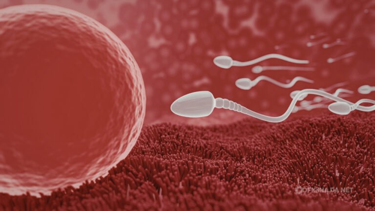 Male contraceptive that “pauses” fertility discovered by scientists